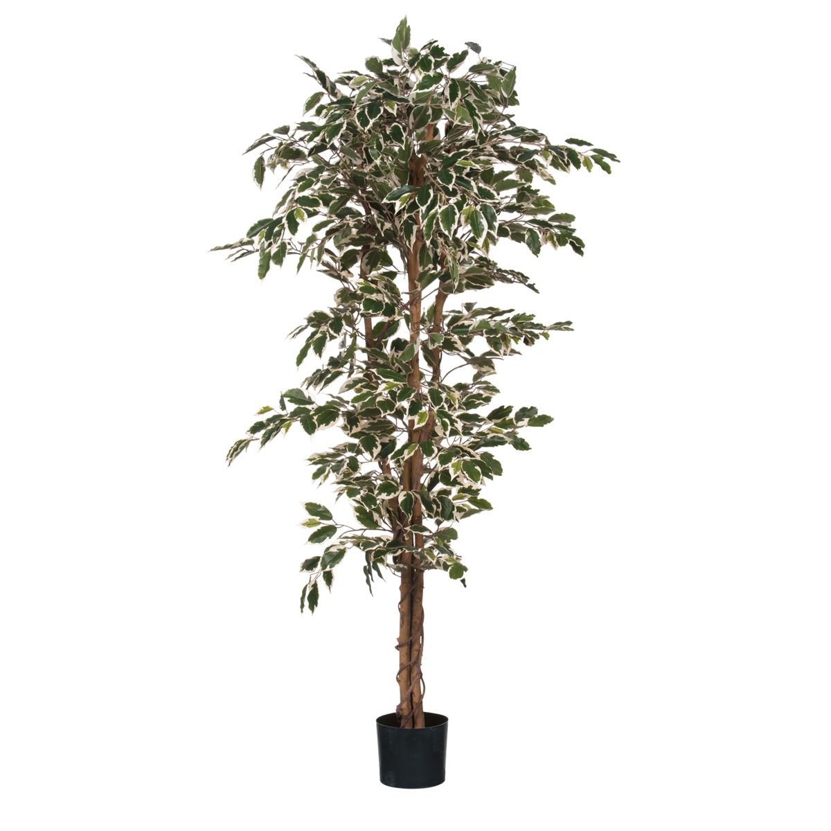 Ficus Kunstplant - H180 x Ø90 cm - Groen Bont