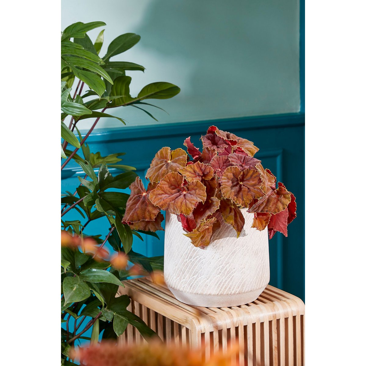 Yonker Plantentafel - Set van 2 - L35 x B25 x H80 cm - Gerecycled Hout - Bruin