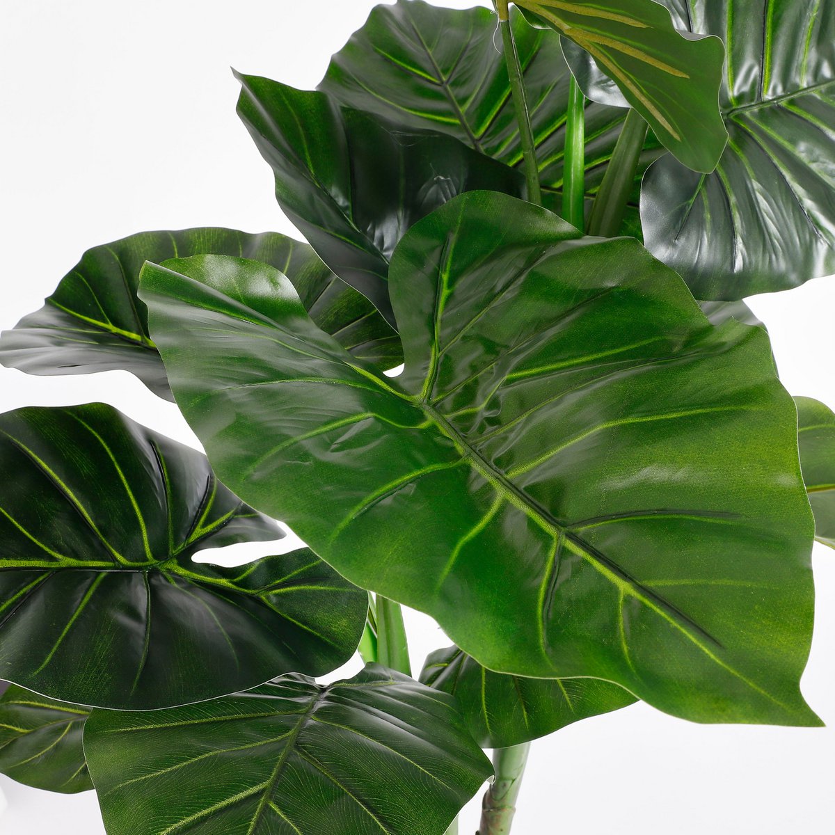 Taro Kunstplant - H100 x Ø70 cm - Groen Mica Decorations