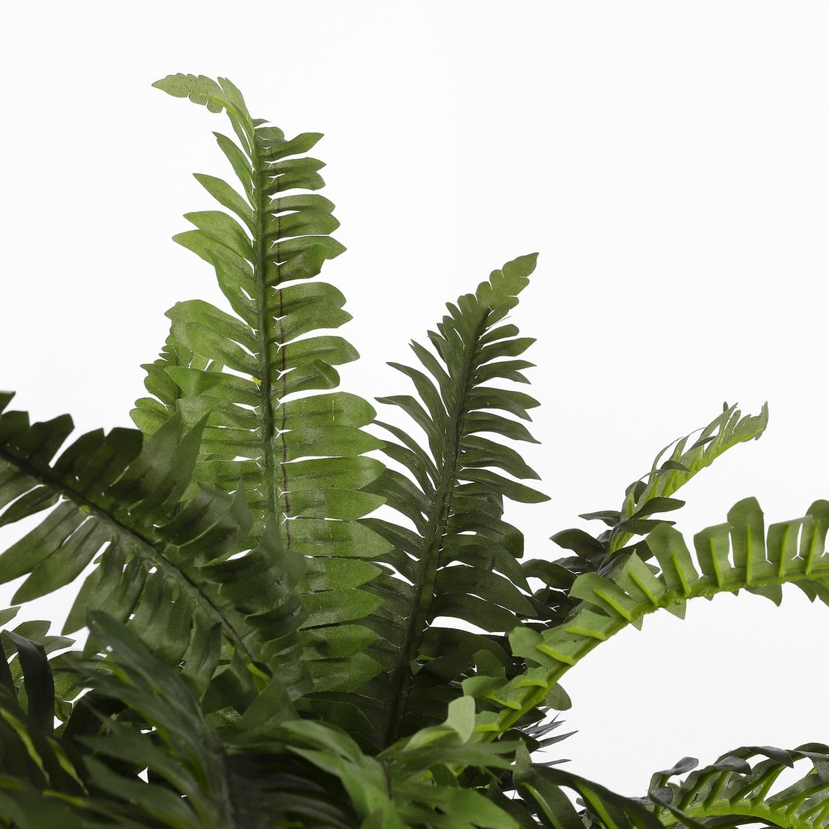 Kunstplant Fern Groen Mica Decorations