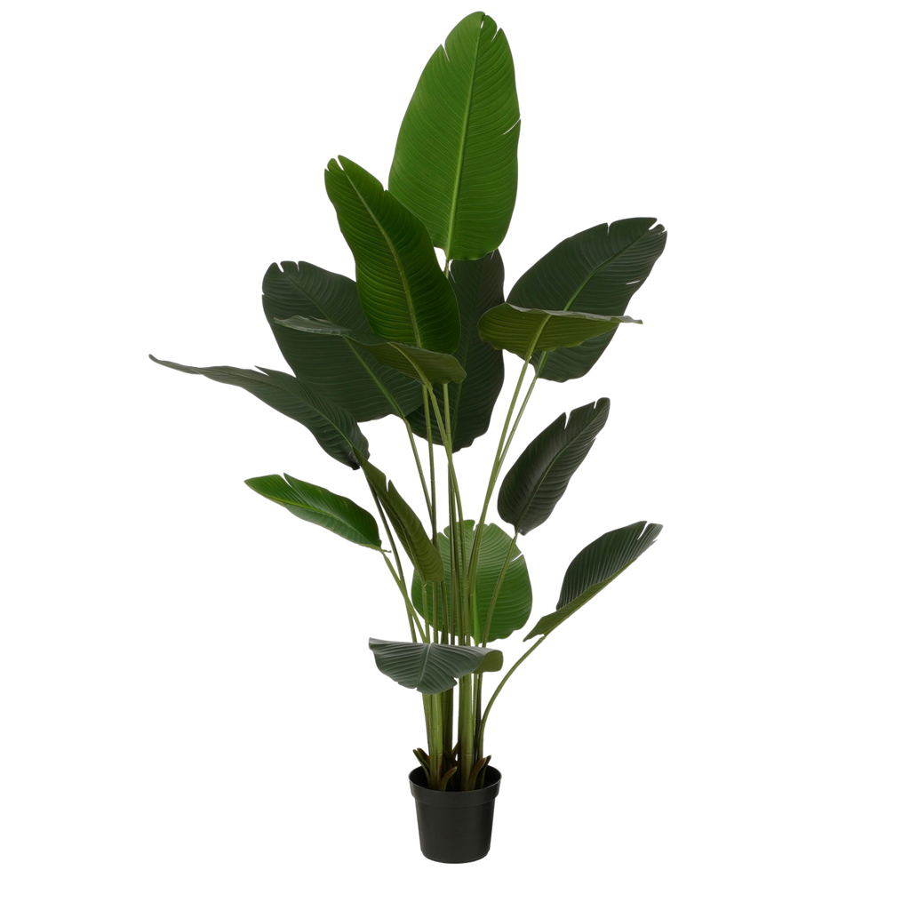 Kunstplant Bananenboom in Pot - H180 x Ø30 cm - Groen