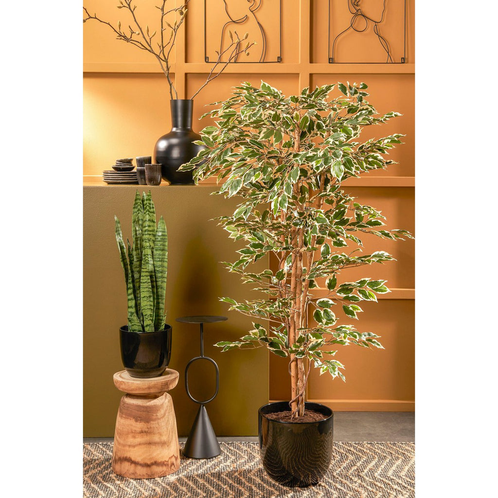 Kunstplant Ficus Groen Mica Decorations