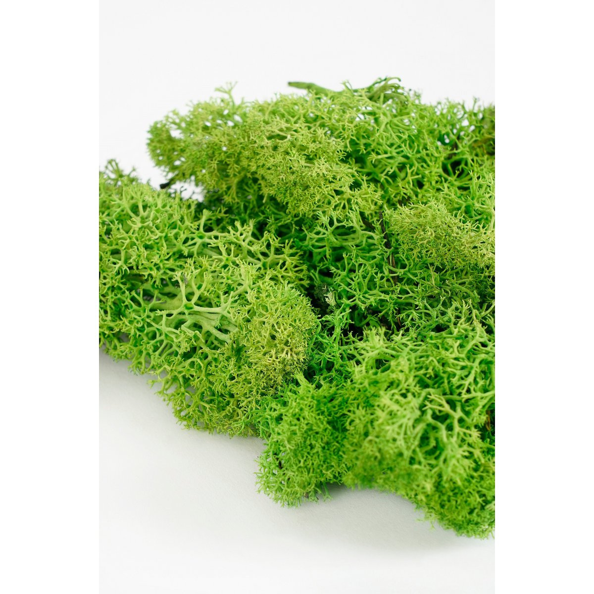 Decoratiemos Mossy Groen Mica Decorations