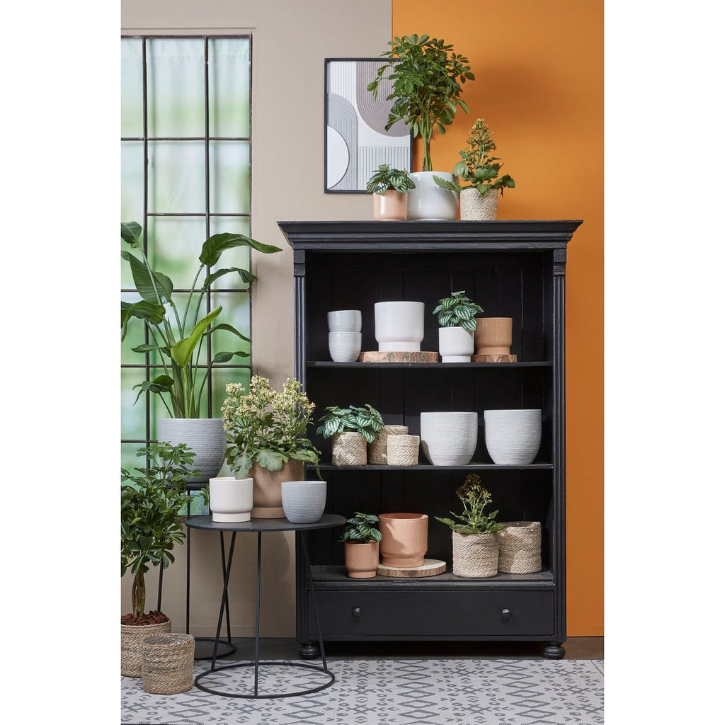 Plantenmand Atlantic Crème Mica Decorations