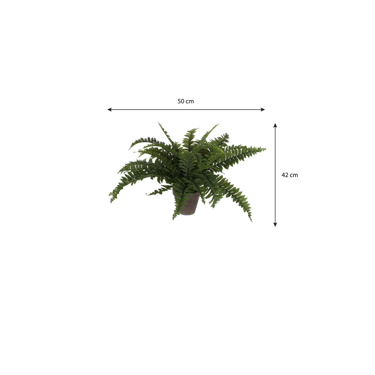 Kunstplant Boston fern Groen Mica Decorations