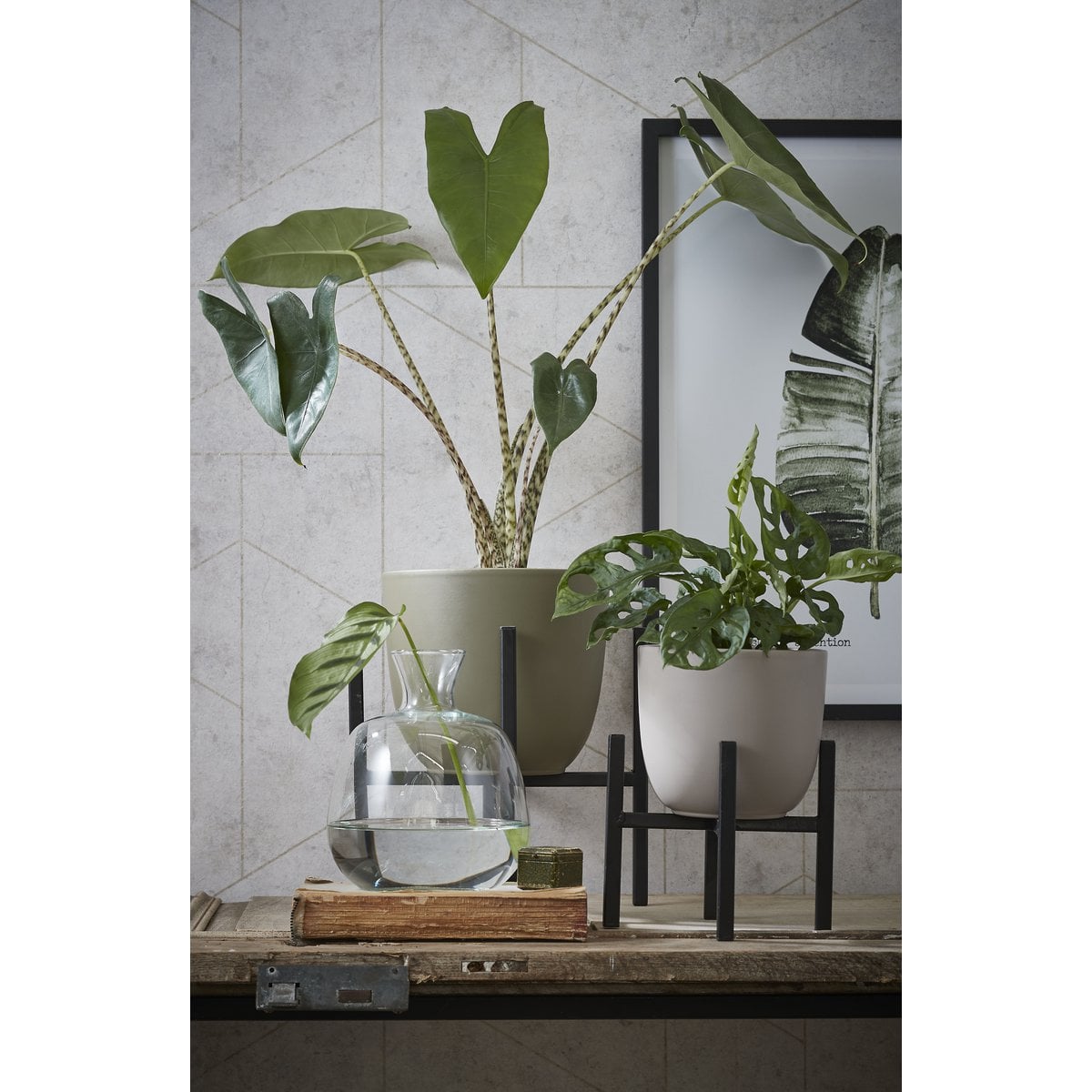 Plantenstandaard Ascot Zwart Mica Decorations