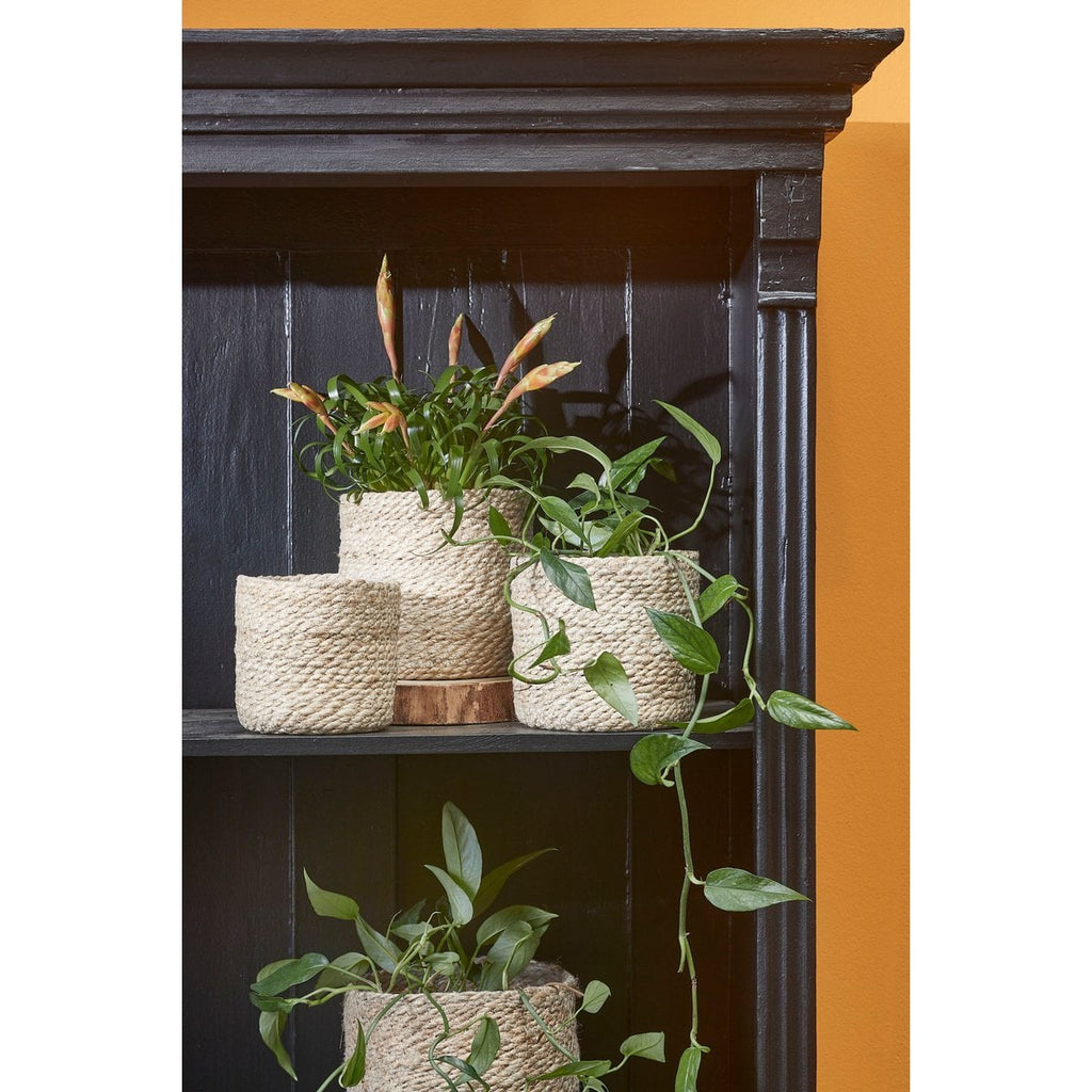 Plantenmand set Atlantic Crème Mica Decorations