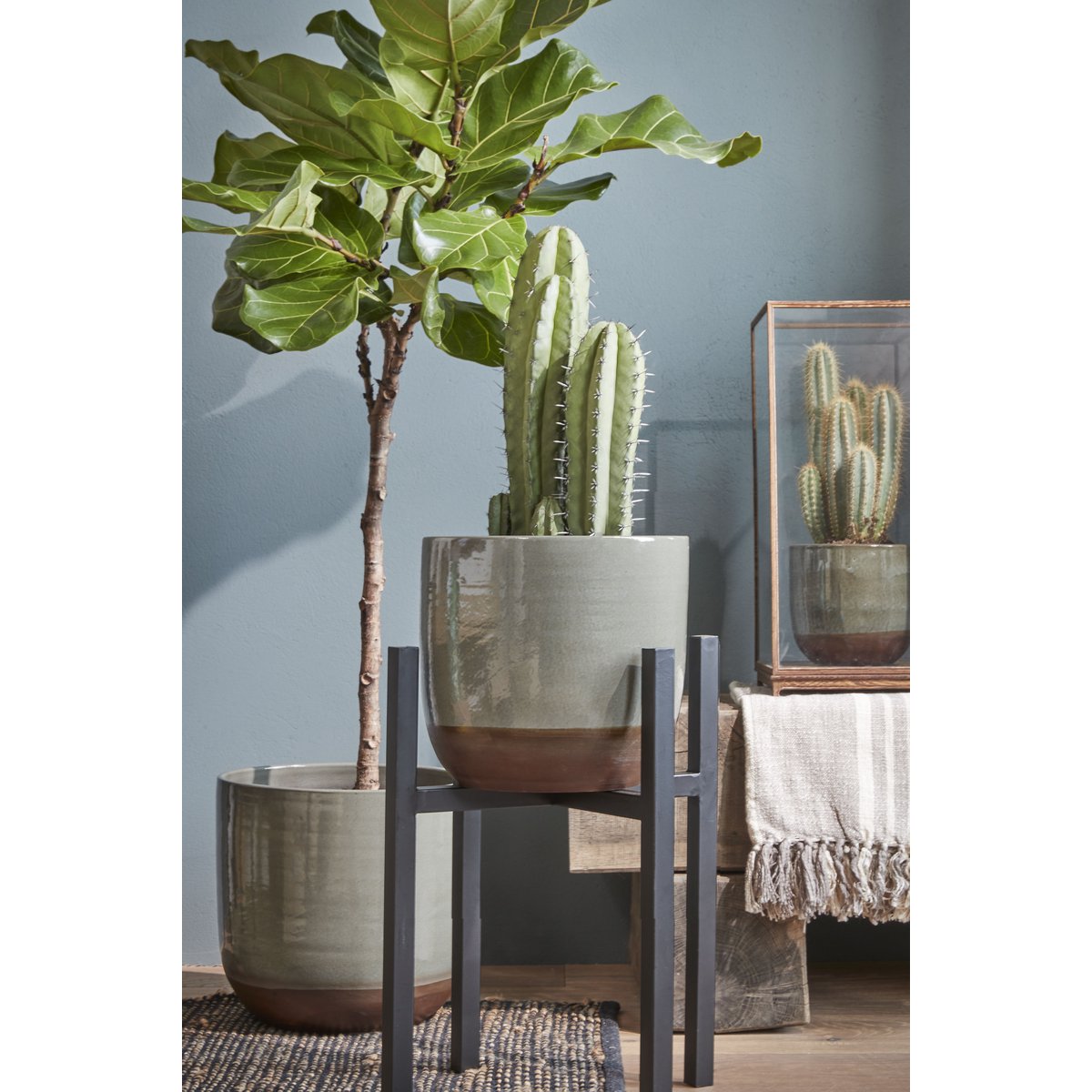 Ascot Plantenstandaard XL - L42 x B42 x H50 cm - Metaal - Zwart Mica Decorations
