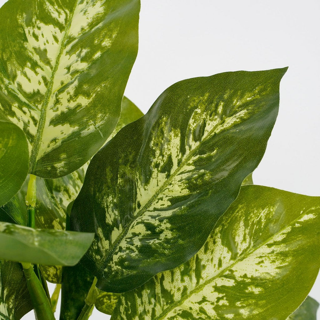 Kunstplant Dieffenbachia Groen Mica Decorations