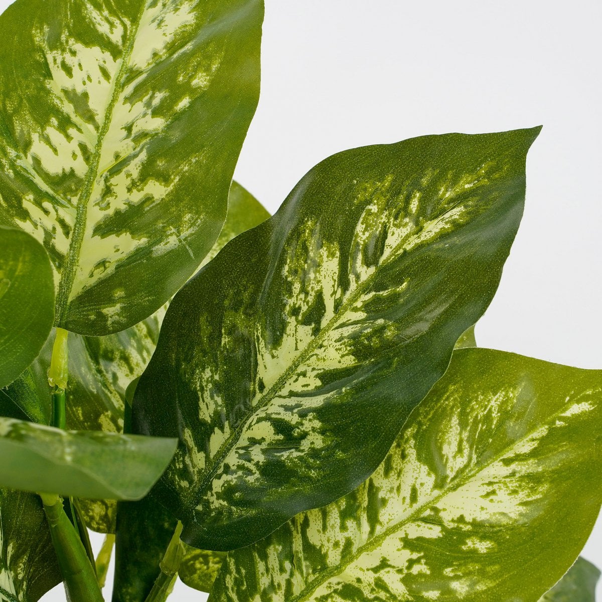 Kunstplant Dieffenbachia Groen Mica Decorations
