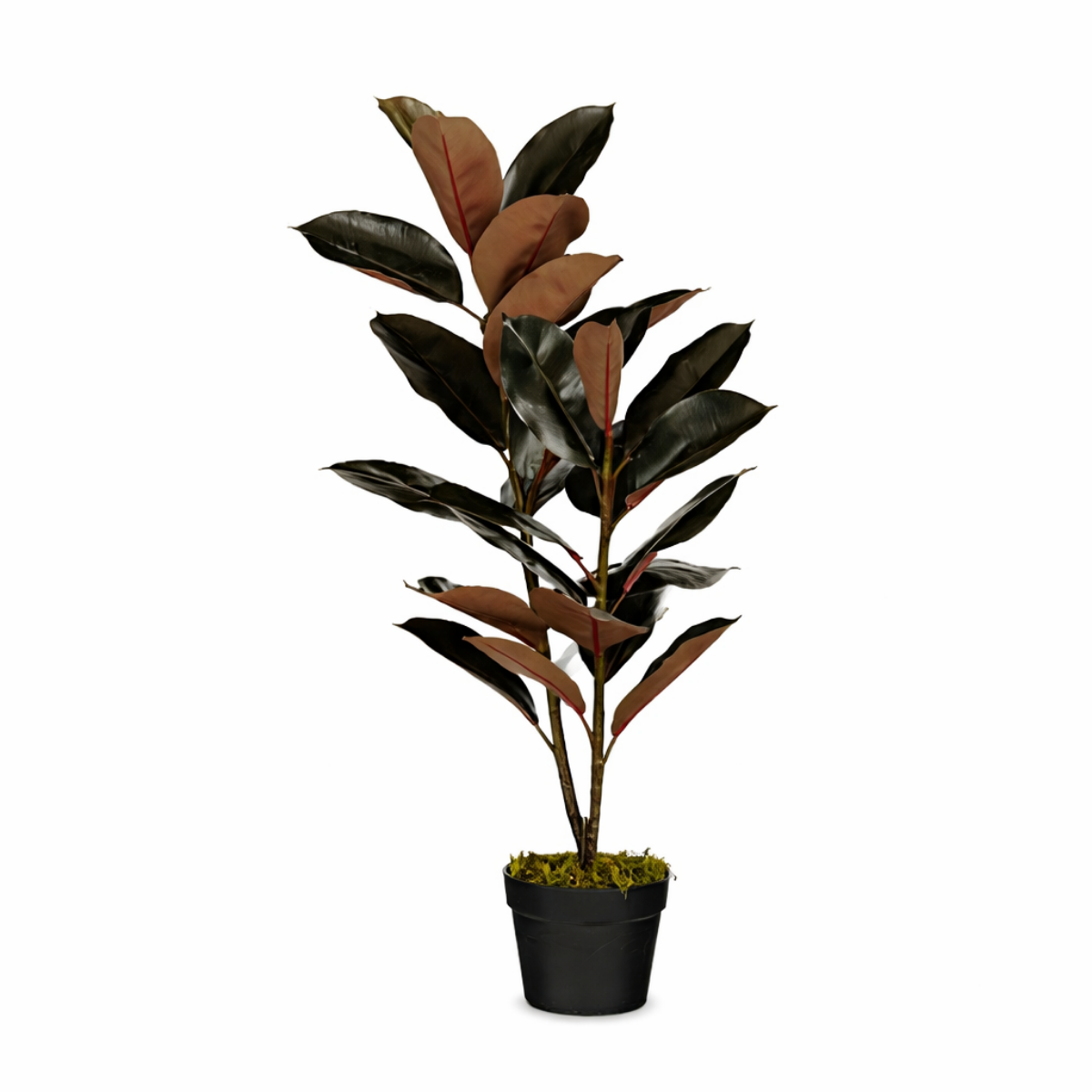 Kunstplant Rubberplant Rood Mica Decorations