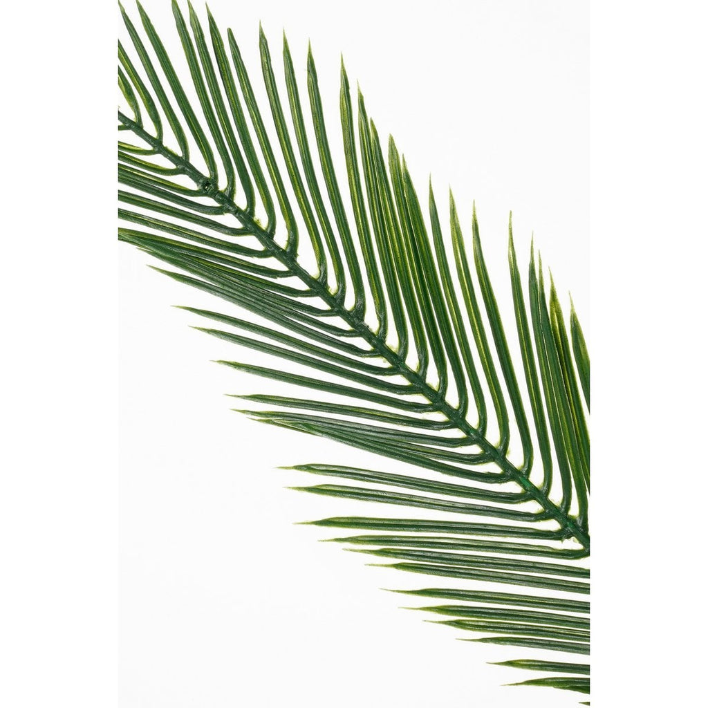 Kunstplant Cycas Groen Mica Decorations