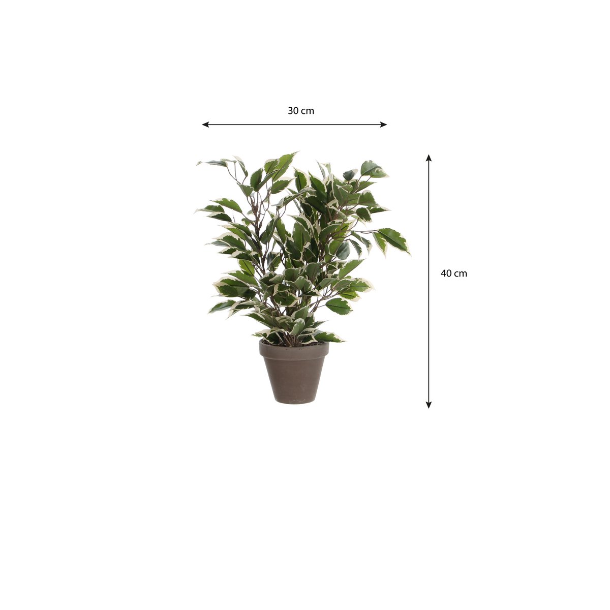 Ficus Natasja Kunstplant in Bloempot Stan - H40 x Ø30 cm - Groen Bont