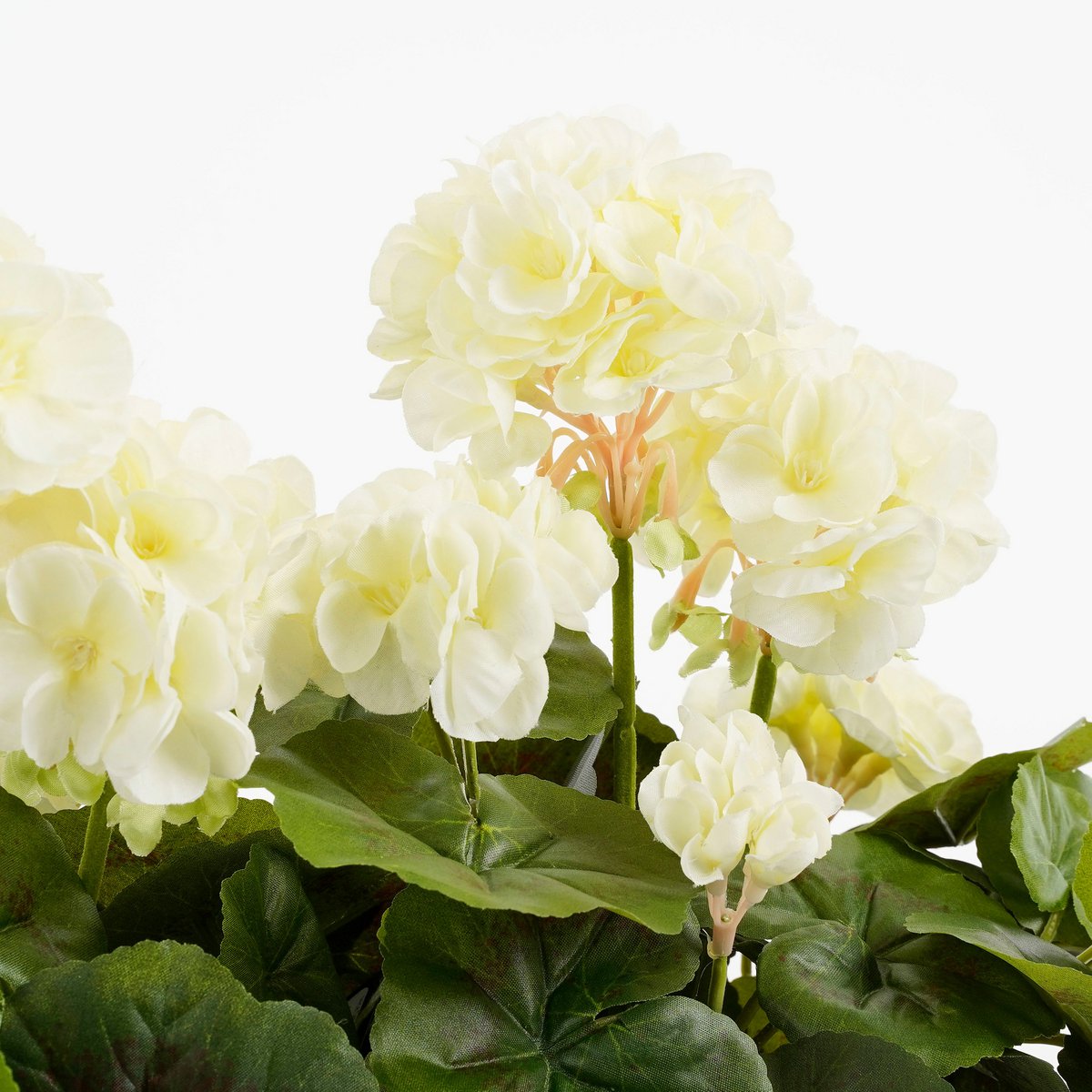Geranium Kunstplant in Balkonbak - L29 x B13 x H40 cm - Wit Mica Decorations