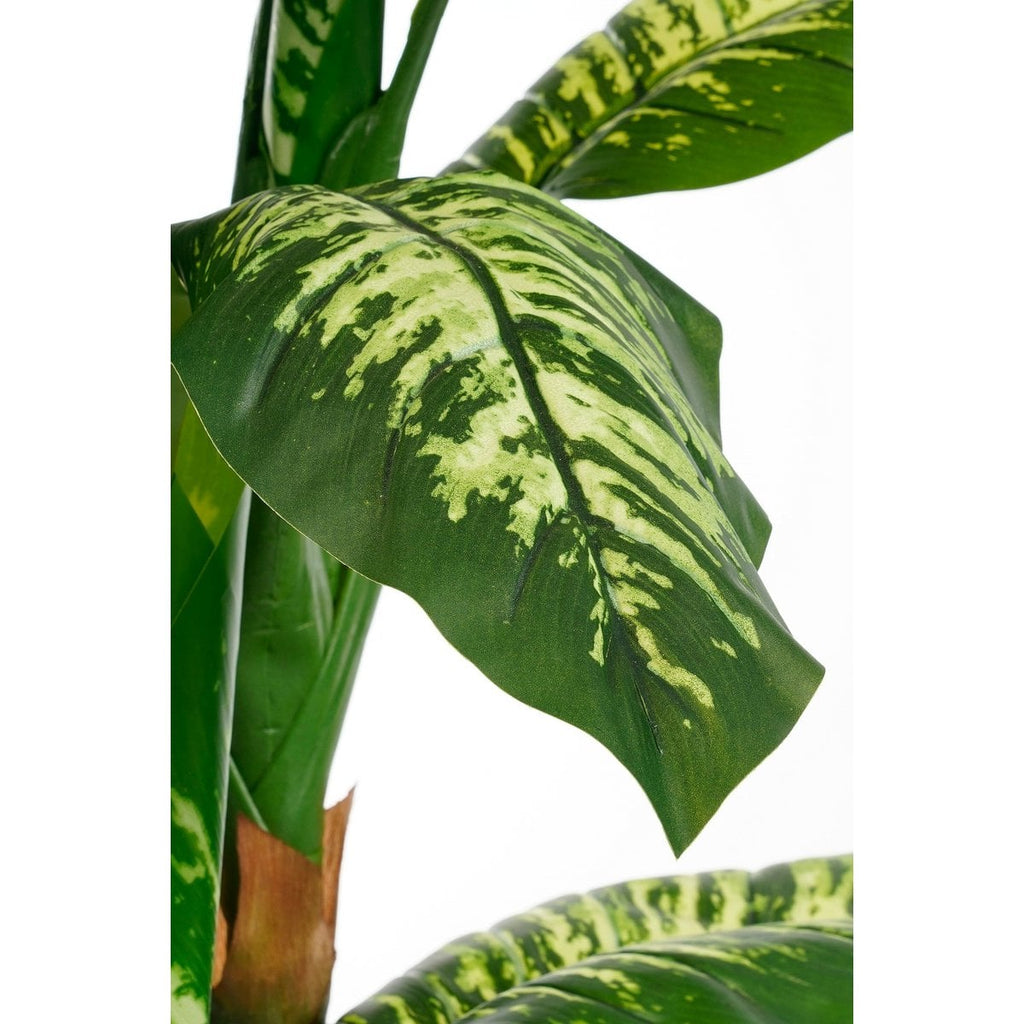 Kunstplant Dieffenbachia Groen Mica Decorations