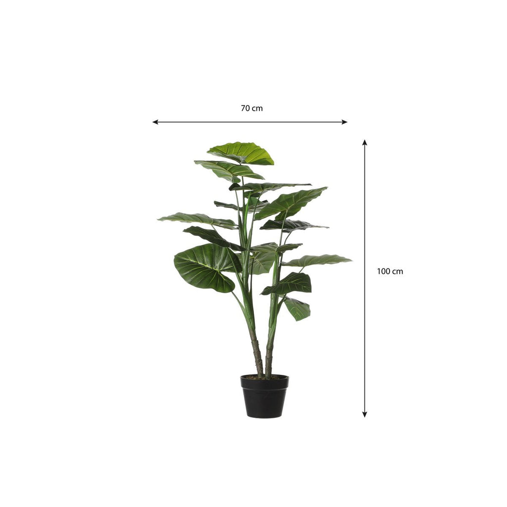 Kunstplant Taro Groen Mica Decorations
