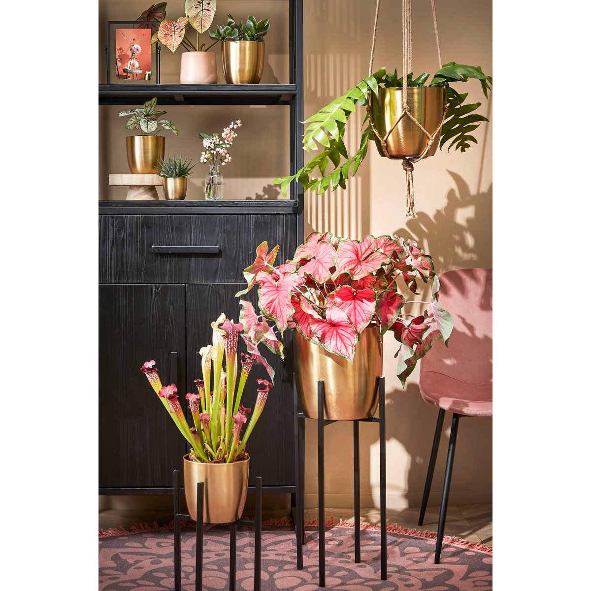 Ascot Plantenstandaard XL - L42 x B42 x H50 cm - Metaal - Zwart Mica Decorations