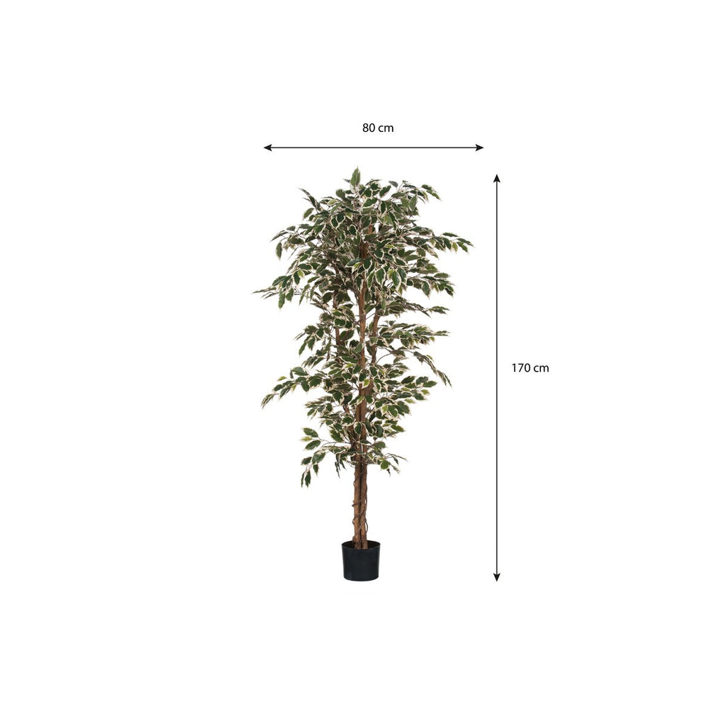 Ficus Kunstplant - H180 x Ø90 cm - Groen Bont