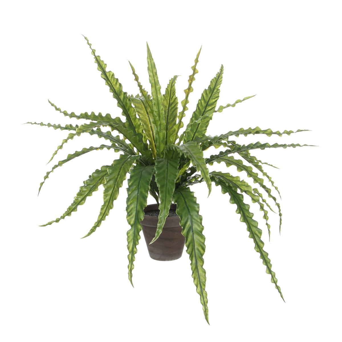 Asplenium Kunstplant in Bloempot Stan - H54 x Ø66 cm - Groen