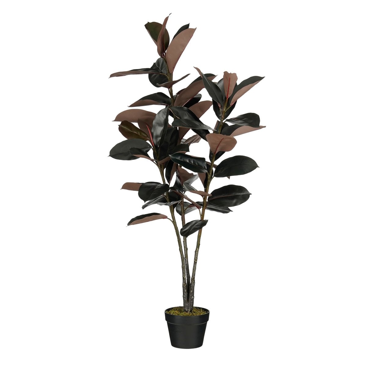 Kunstplant Rubberplant Rood Mica Decorations