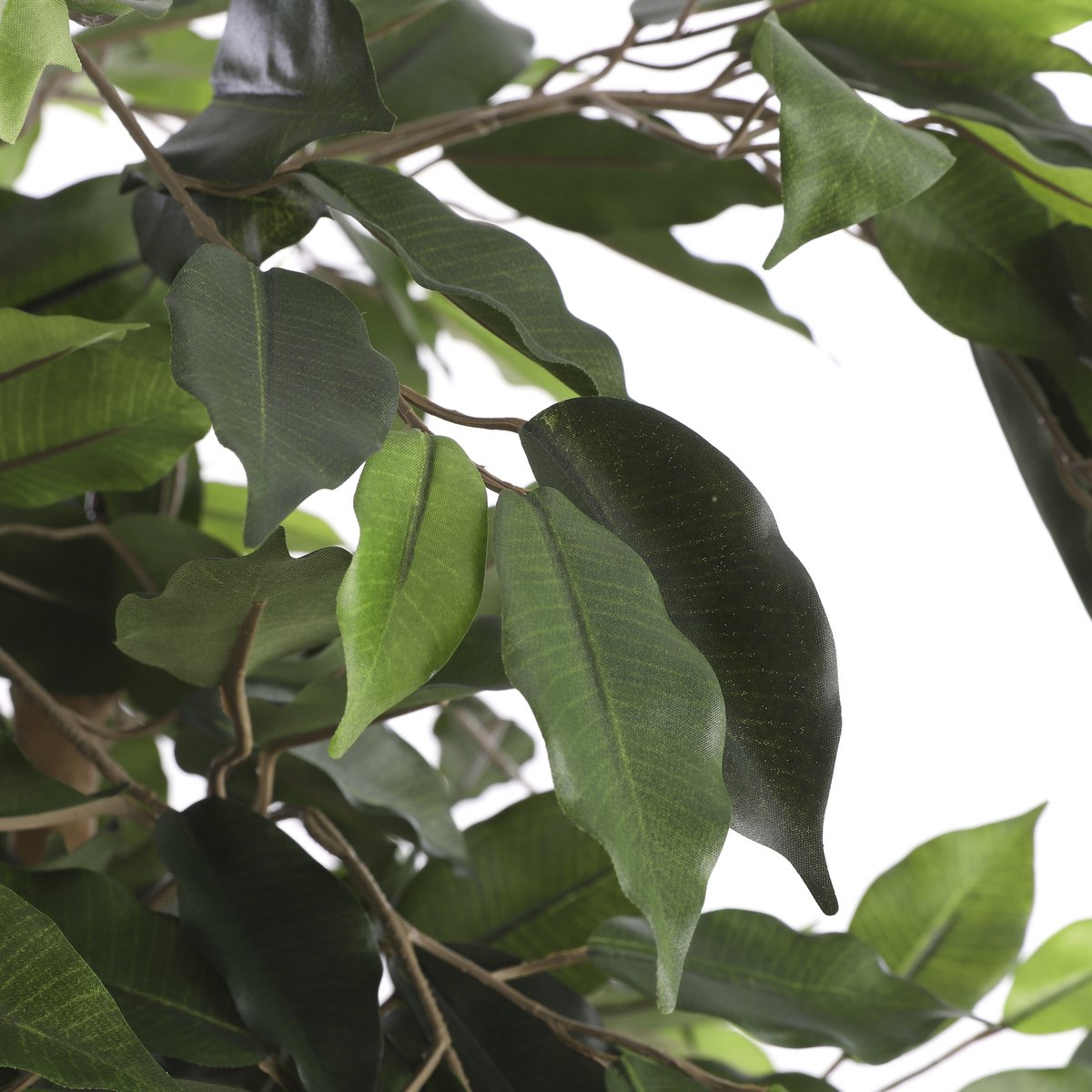 Ficus Kunstplant - H150 x Ø85 cm - Groen Mica Decorations