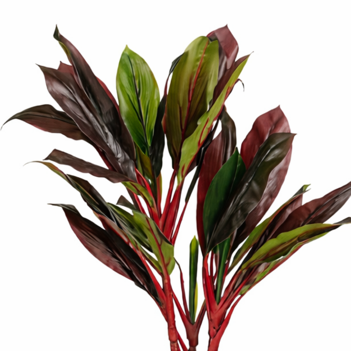 Kunstplant Cordyline Rood Mica Decorations