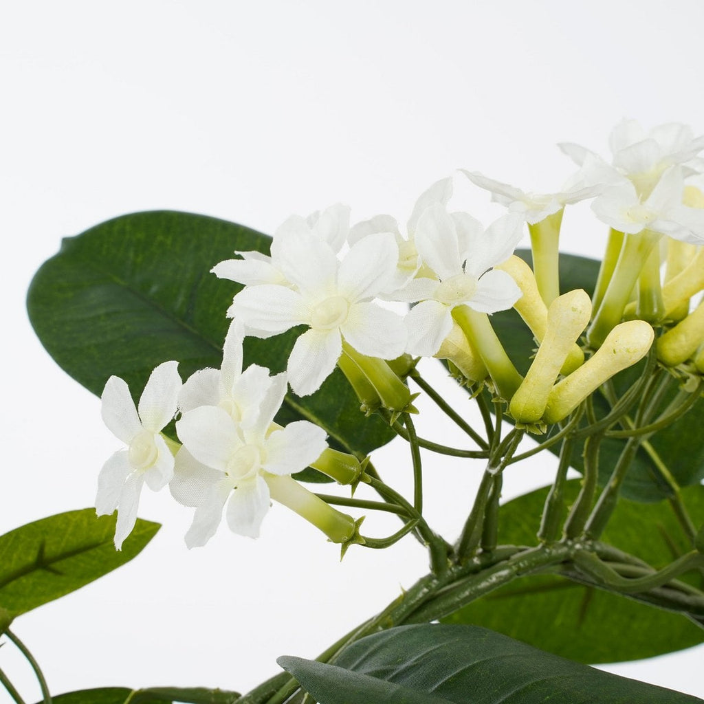Kunstplant Stephanotis Wit Mica Decorations