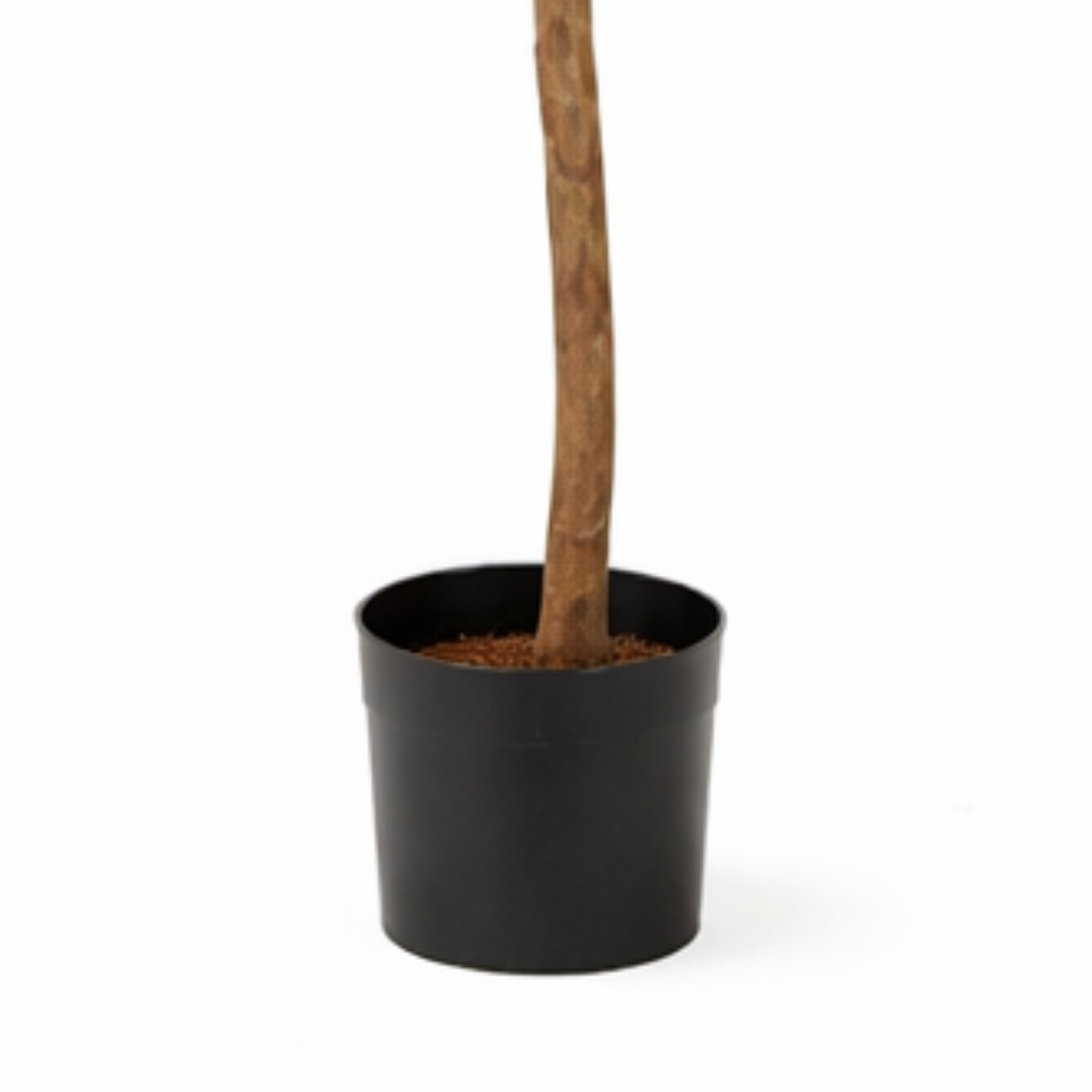 Kunstplant Ficus Groen Mica Decorations