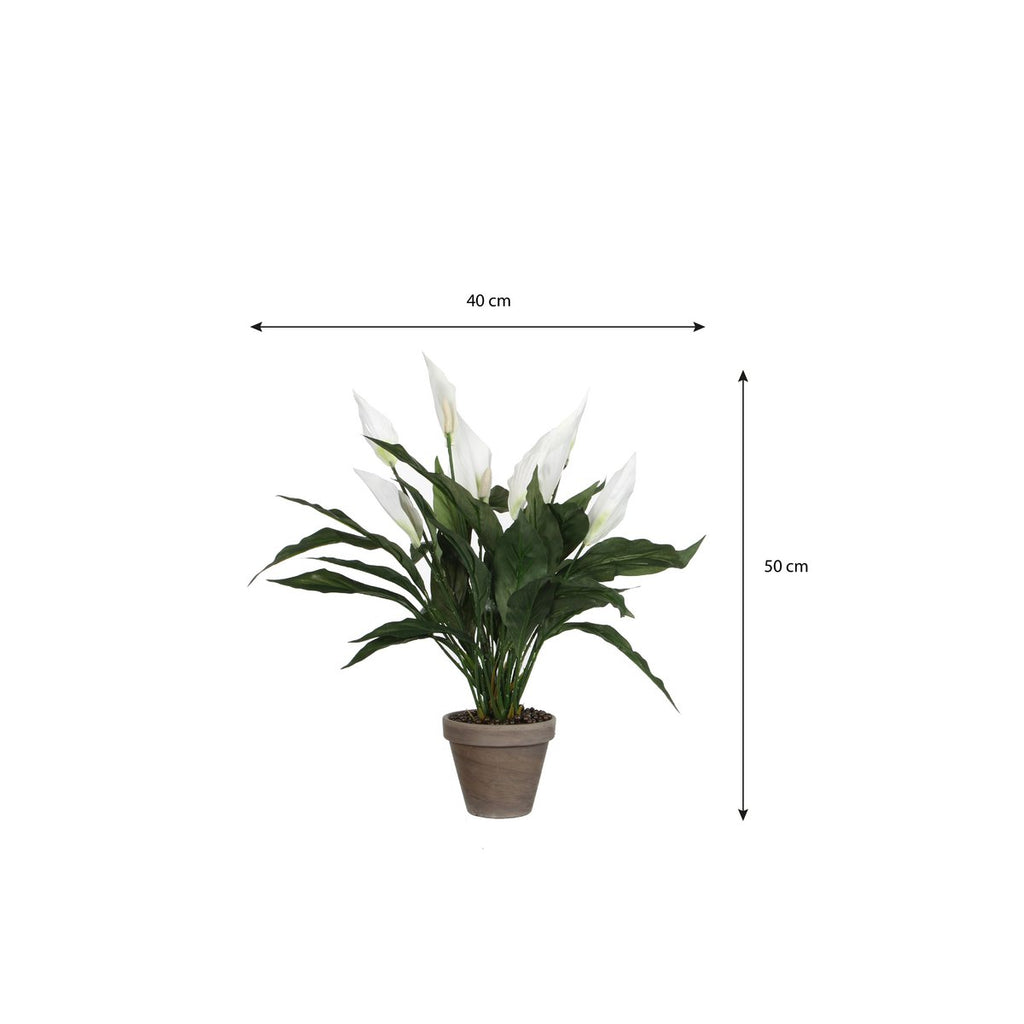 Spathiphyllum Kunstplant in Bloempot Stan - H50 x Ø40 cm - Wit