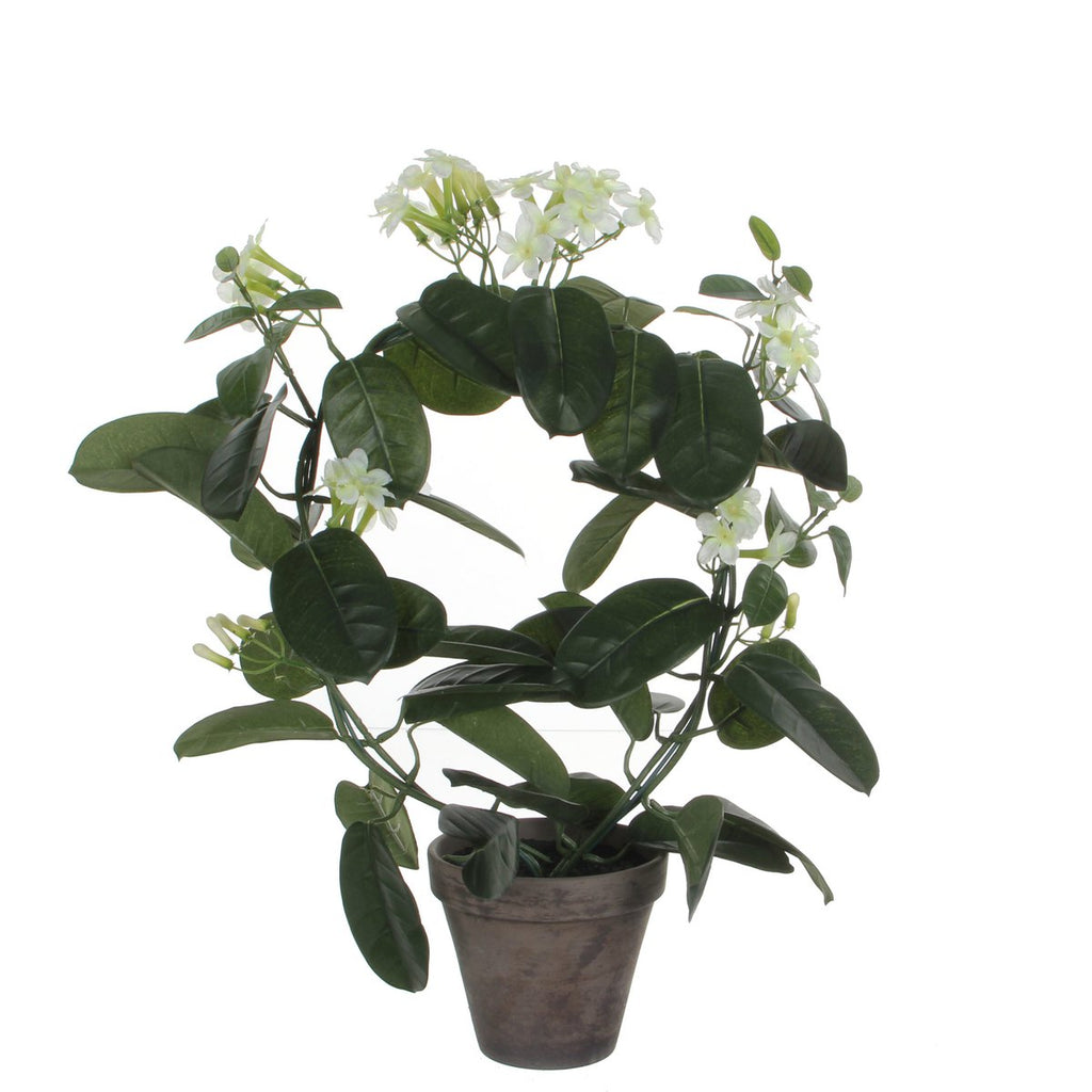 Kunstplant Stephanotis Wit Mica Decorations