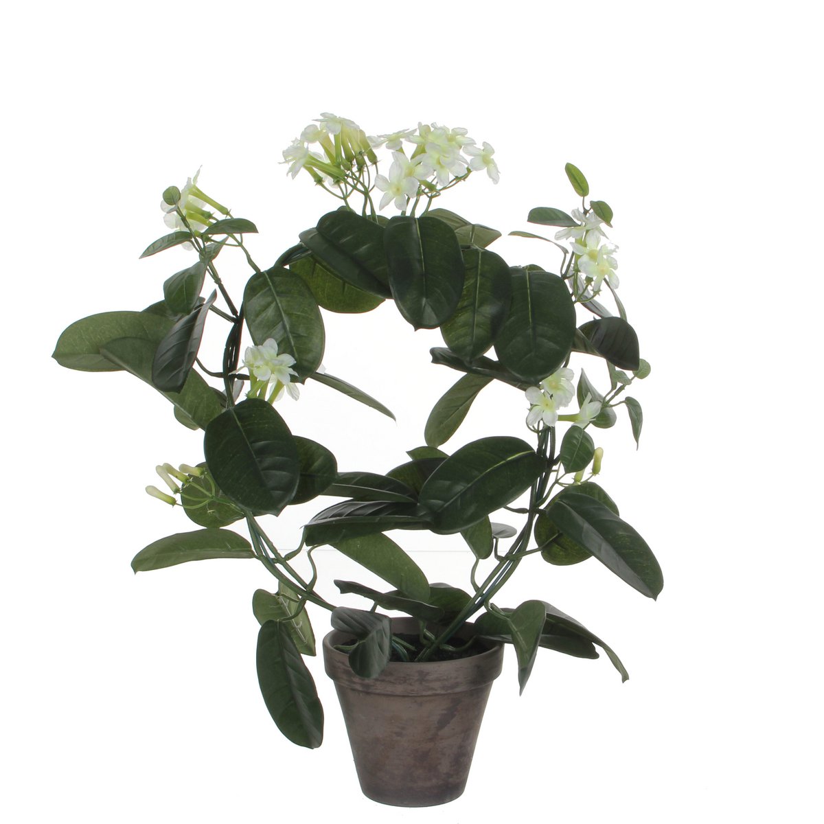 Kunstplant Stephanotis Wit Mica Decorations