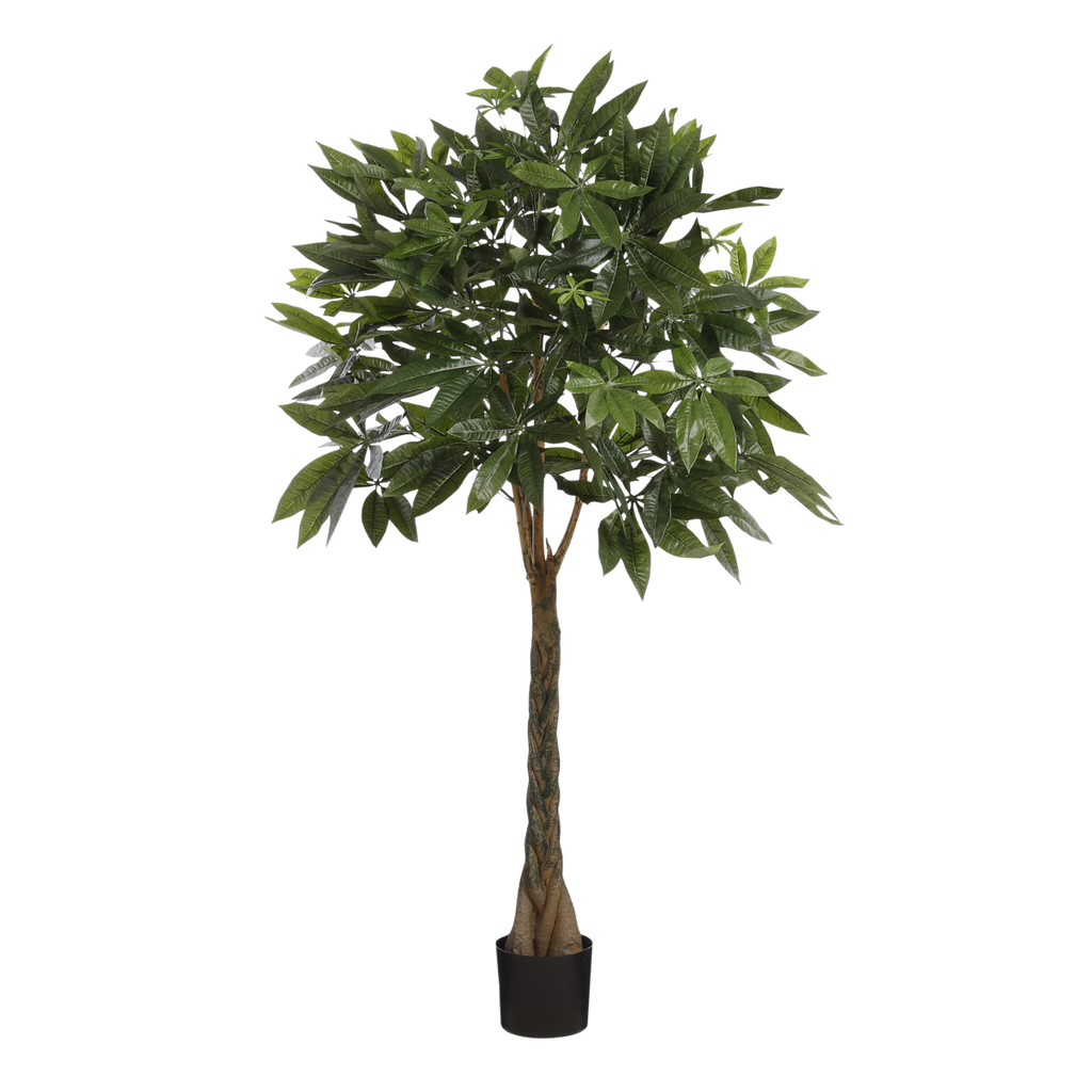 Pachira Kunstplant - H120 x Ø50 cm - Groen