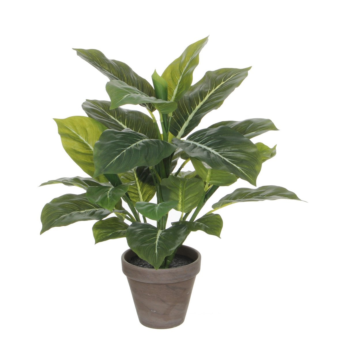 Kunstplant Evergreen Groen Mica Decorations