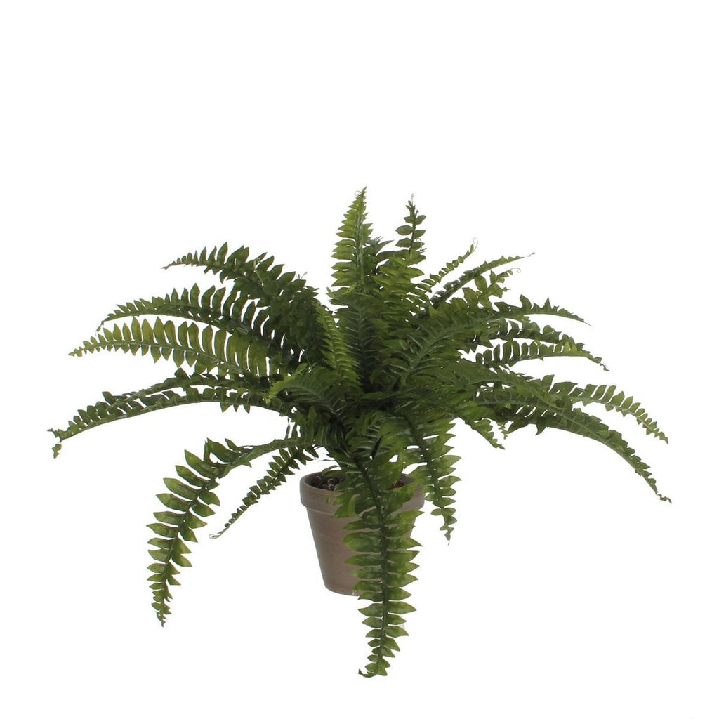 Kunstplant Fern Groen Mica Decorations