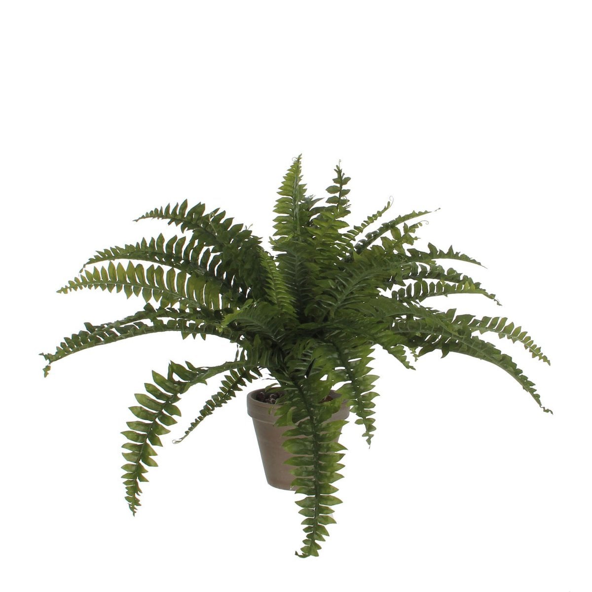Kunstplant Fern Groen Mica Decorations
