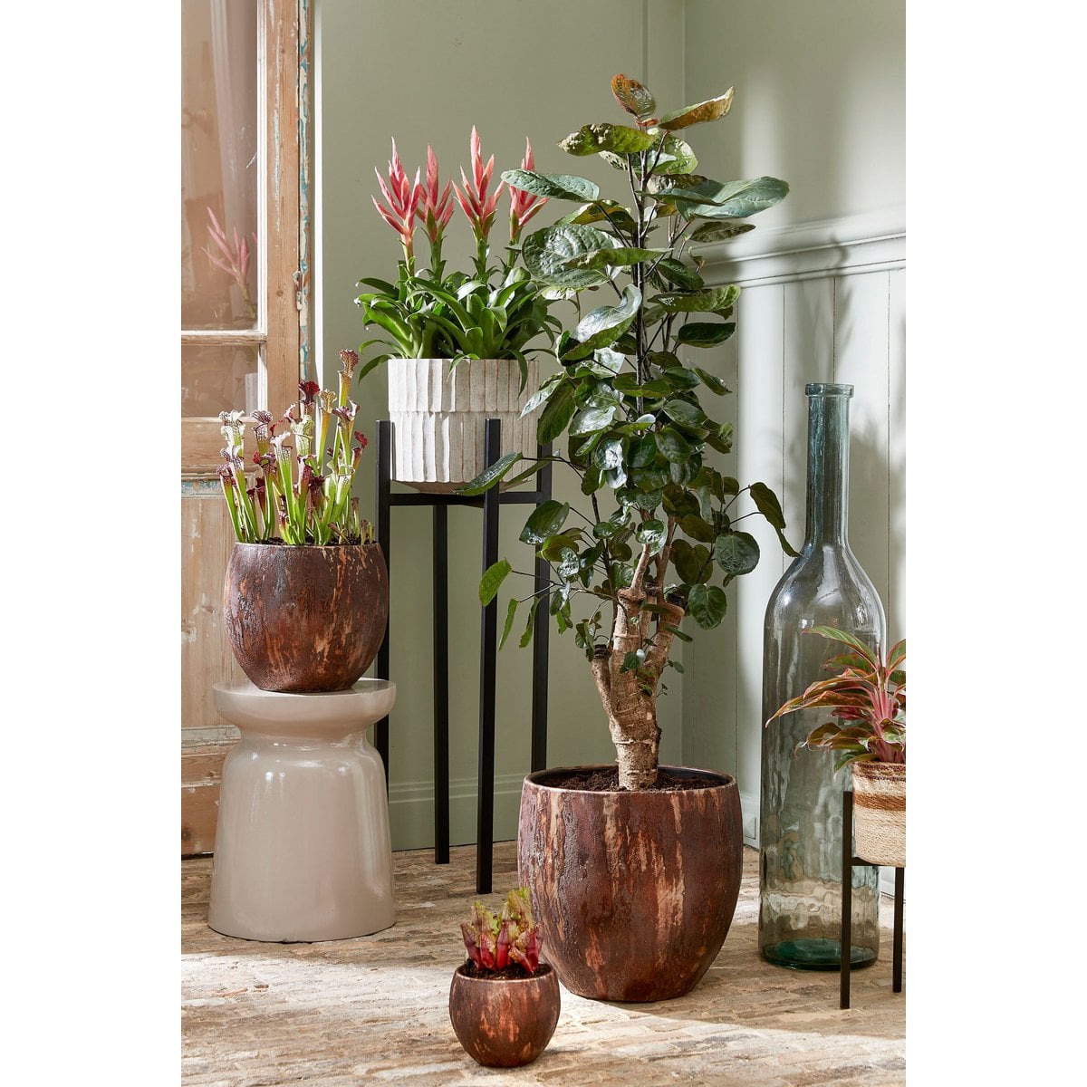 Plantenstandaard Ascot Zwart Mica Decorations