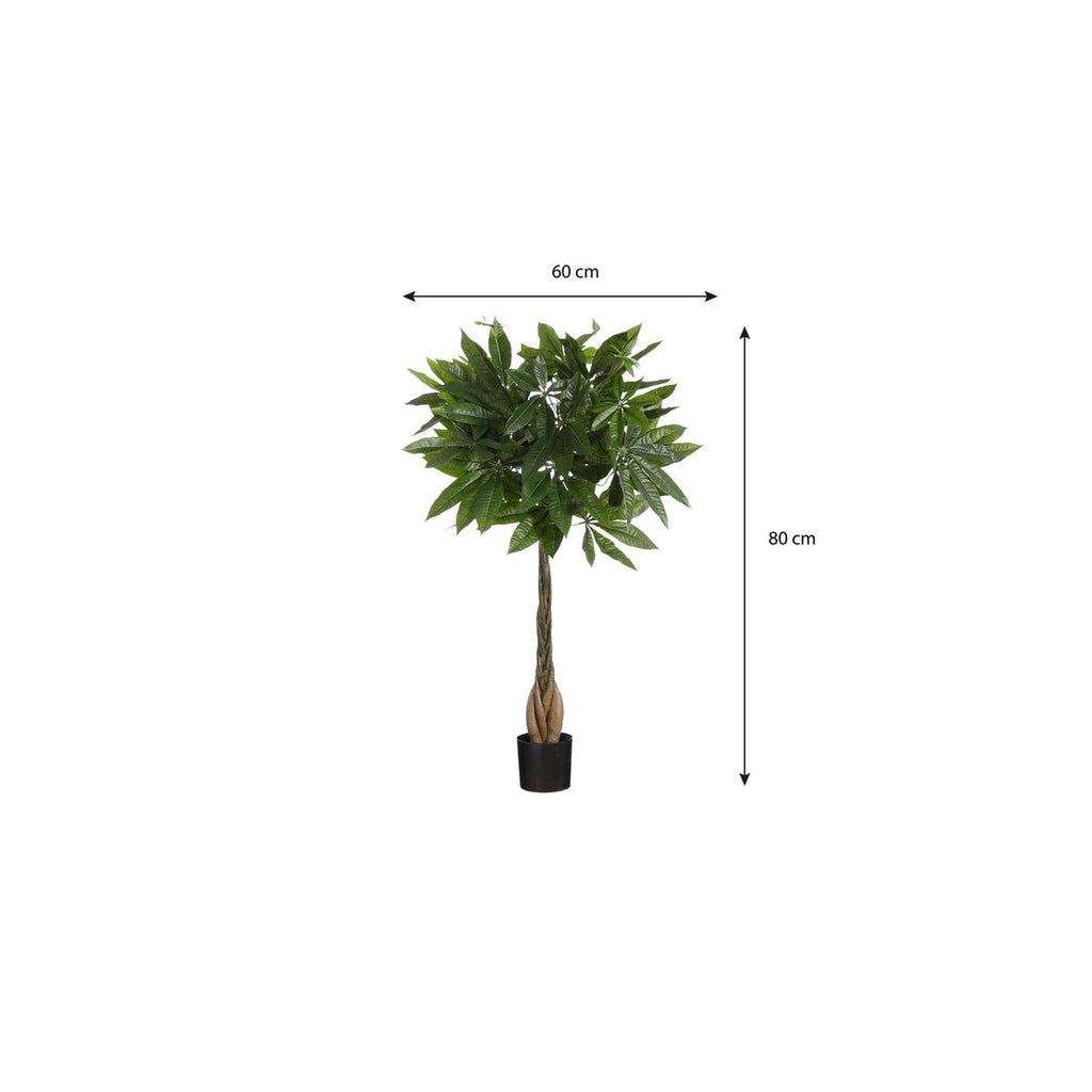 Kunstplant Pachira Groen Mica Decorations