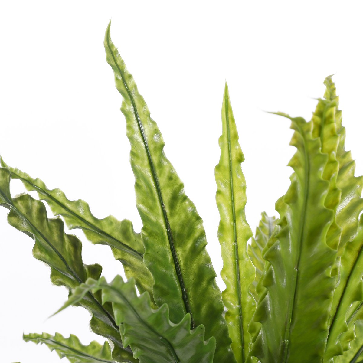 Asplenium Kunstplant in Bloempot Stan - H54 x Ø66 cm - Groen Mica Decorations