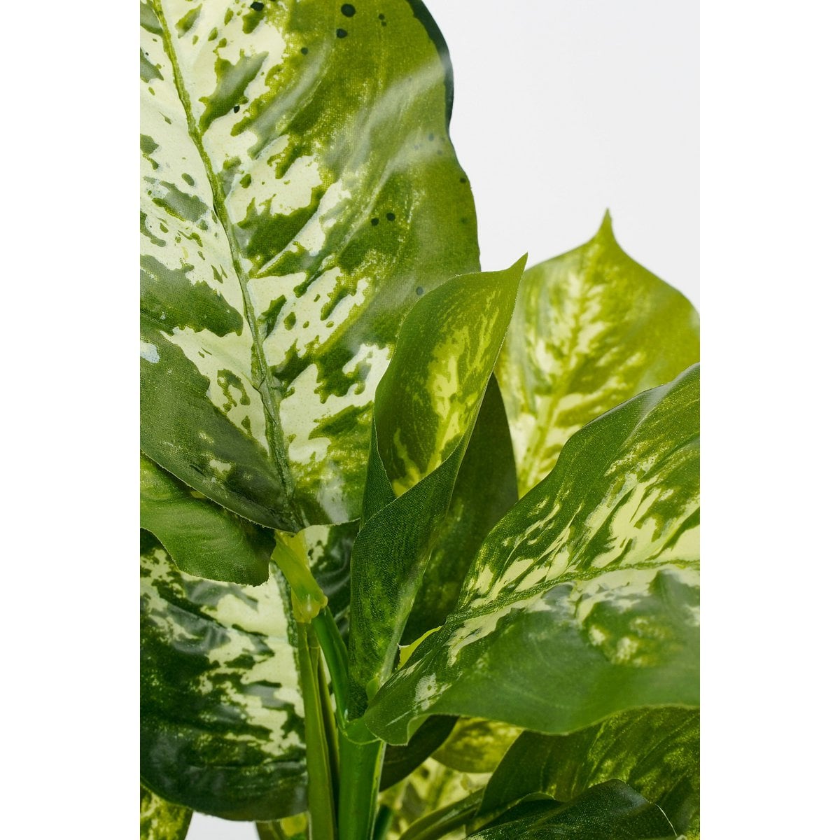 Kunstplant Dieffenbachia Groen Mica Decorations
