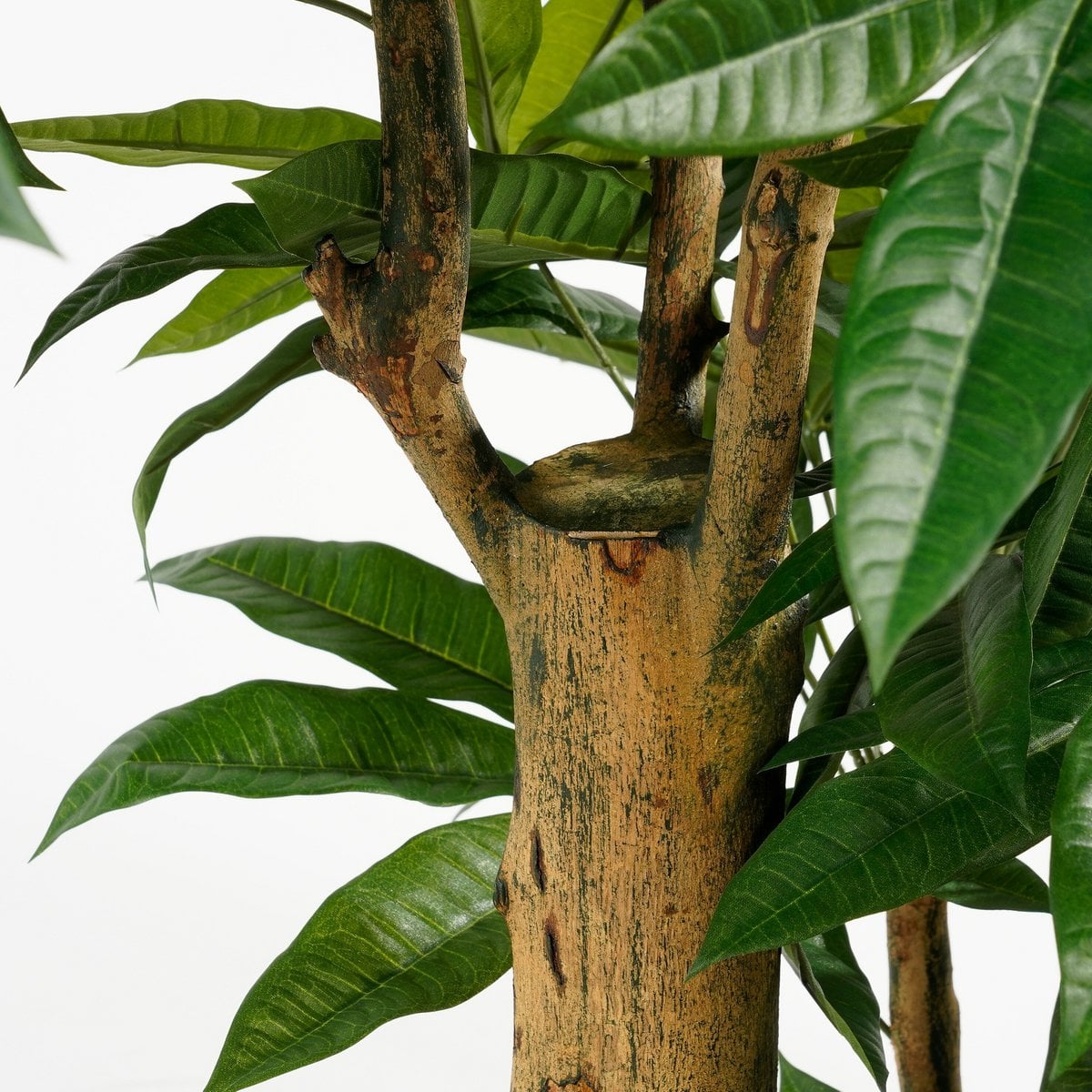 Kunstplant Pachira Groen Mica Decorations