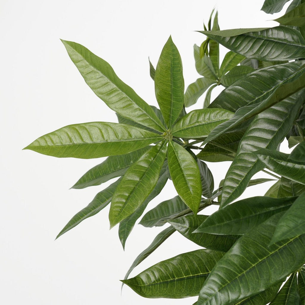 Kunstplant Pachira Groen Mica Decorations