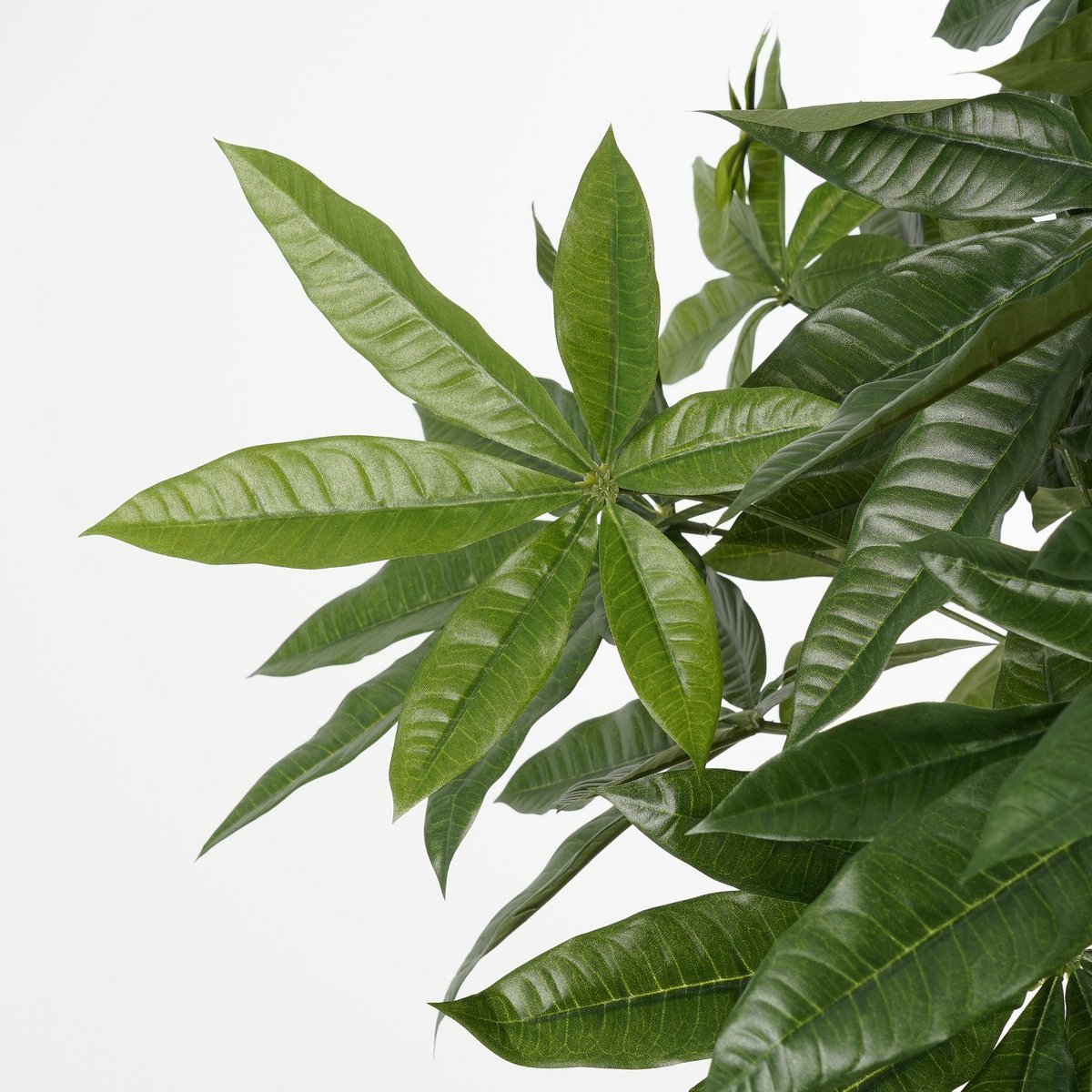 Kunstplant Pachira Groen Mica Decorations