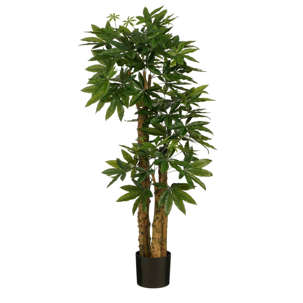 Kunstplant Pachira Groen Mica Decorations