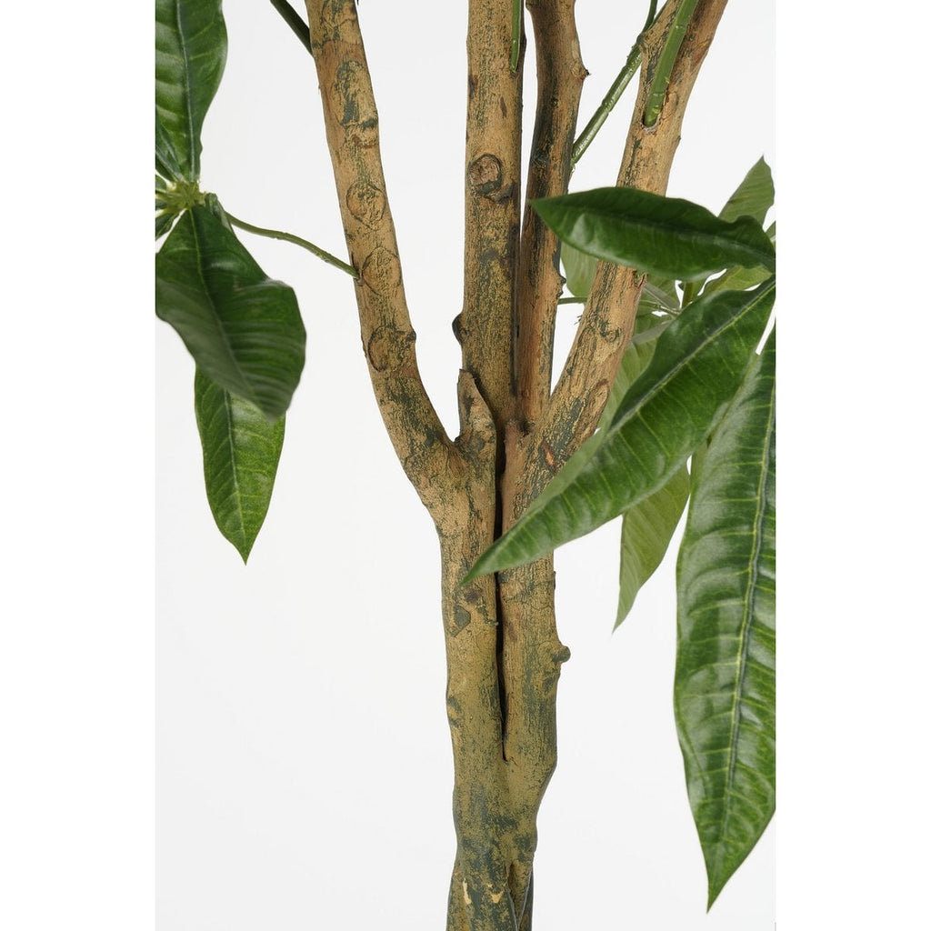 Kunstplant Pachira Groen Mica Decorations