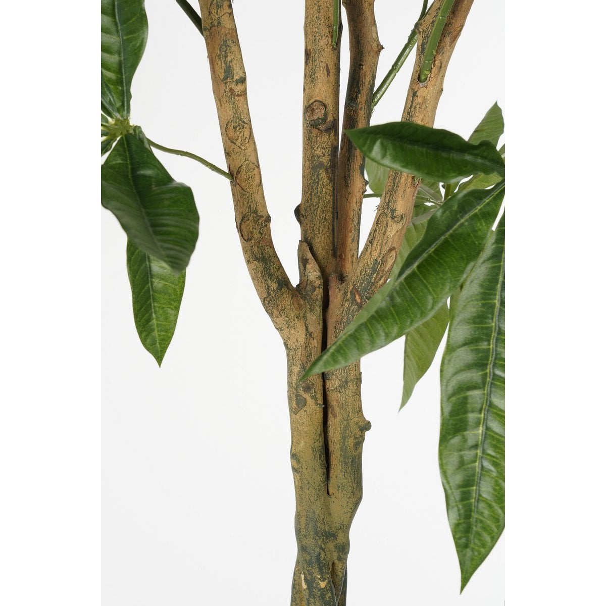 Kunstplant Pachira Groen Mica Decorations