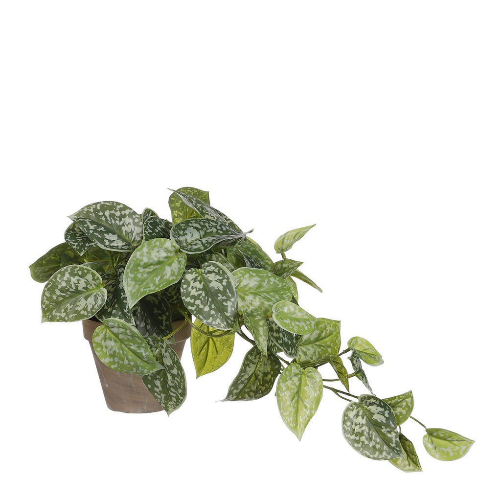 Kunst hangplant Scindapsus Groen Mica Decorations