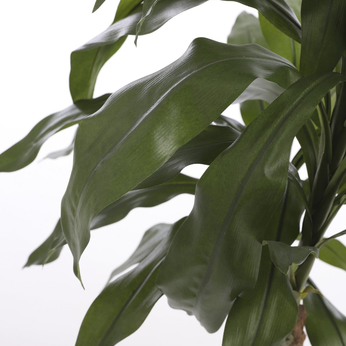 Dracaena Kunstplant - H100 x Ø70 cm Mica Decorations