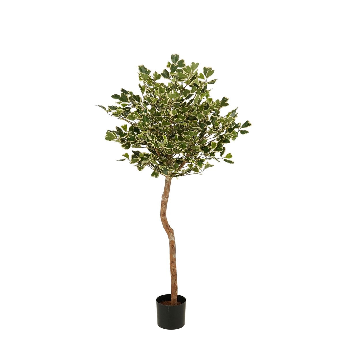 Kunstplant Ficus Groen Mica Decorations