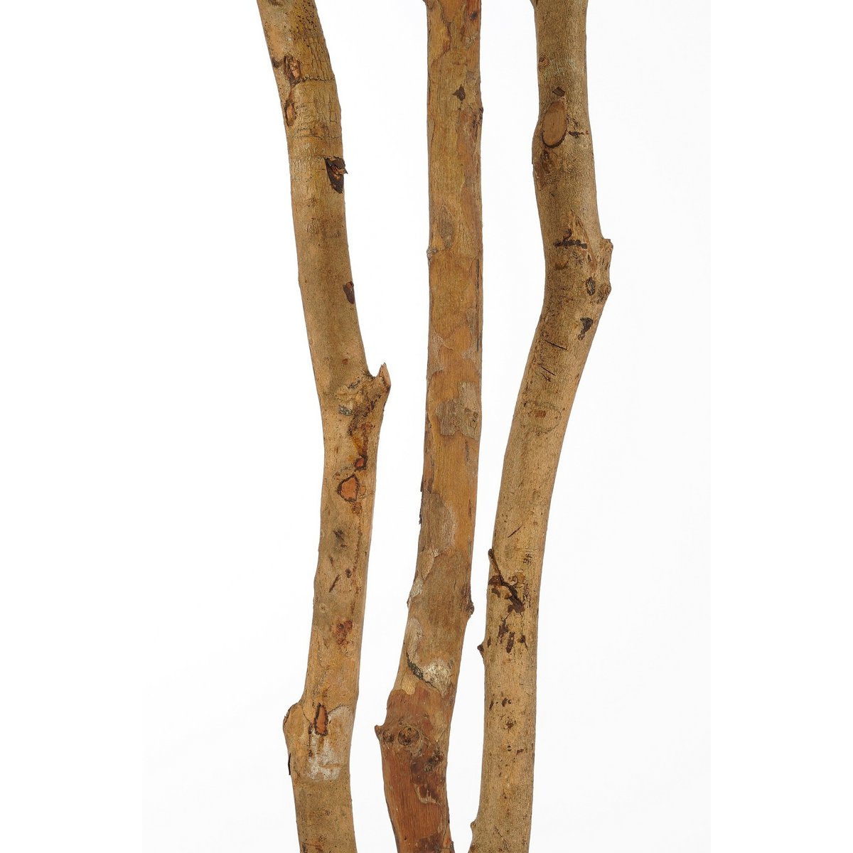 Kunstplant Monstera Groen Mica Decorations