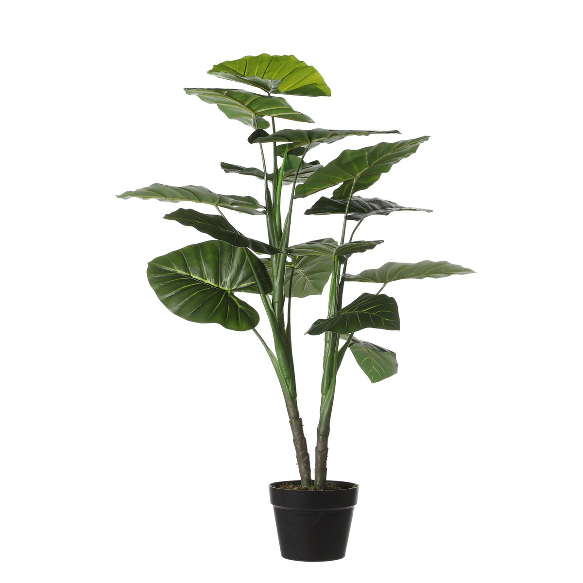Taro Kunstplant - H100 x Ø70 cm - Groen Mica Decorations